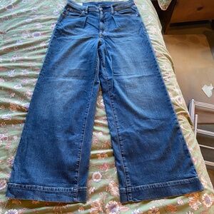 Gap High Rise Pleated Wide Leg Denim Trouser Size 29/8R